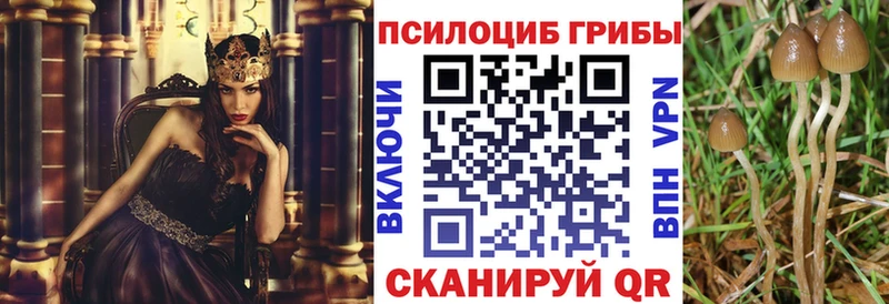 Псилоцибиновые грибы Magic Shrooms  Красноуральск 
